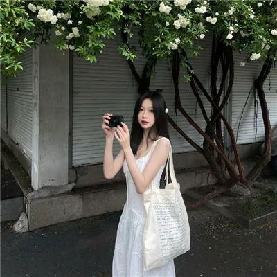 风流皇帝
